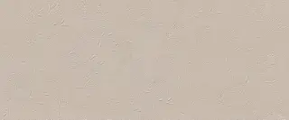 True Color Wind Fossil Matt 50x120