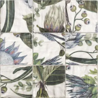 Decor Protea 20x20
