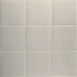 Technical Koala 20x20
