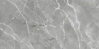 Силкмарбл Бреча Серый Матовый R9 60x120