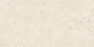 Спастоун Кампосперо Матовый 60x120