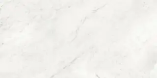 Carrara Antique Satin 60x120