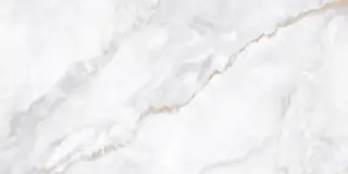 Ornato Wave Polished 60x120