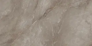 Orobico Brown Polished 60x120