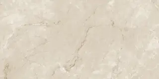 Siena Caramel Lap Carving 60x120