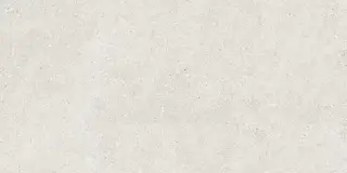 Stonhenge Grey Matt Shape 60x120