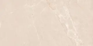 Persian Beige Matt 60x120
