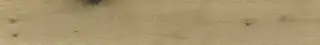 Kora Cognac 22.5x160