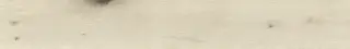 Kora Sand 22.5x160
