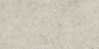 Beren Light Grey Natural 60x120
