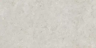 Beren Light Grey Ductile Soft 60x120