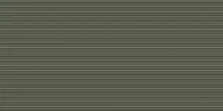Nuer Moss 60x120