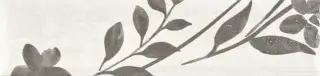 Levels Dimgrey Decor 1 Matt 6x25