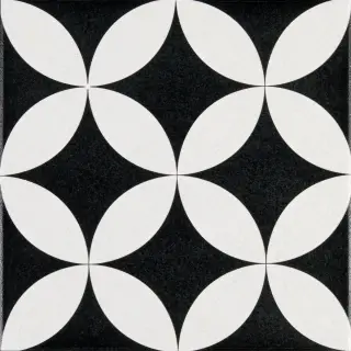 Levels Bk Decor 19 20x20