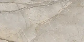Стеллариус Элег.Сильвер 60x120