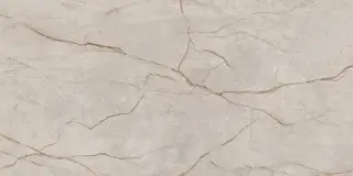 Мгновение Серо-Бежевый 60x120