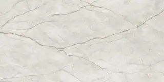 Мгновение Светло-Серый 60x120