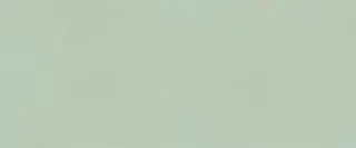 True Color Matcha Matt 50x120
