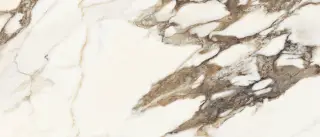 Calacatta Venato Polished 120x278