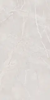 Керамическая плитка 60*120 ARIANA CORAL SUGAR CARVING IT (ППх)