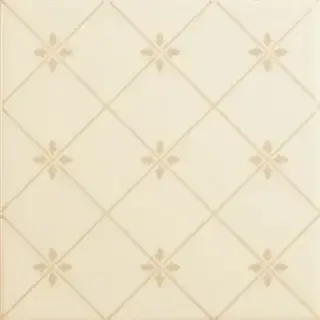 Керамическая плитка DELIS MARFIL 20X20