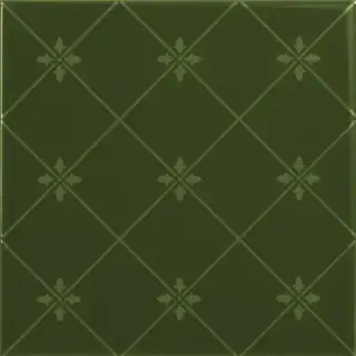 Керамическая плитка DELIS VERDE BOTELLA 20X20