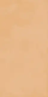 Керамическая плитка 60X120 TOUCH EVO CORAL RETT