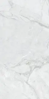 Керамическая плитка 60*120 AGNESINA BIANCO MATT+CARVING (ППх)