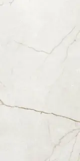 RAFFAELLO IVORY MATT ARTECH 60X120