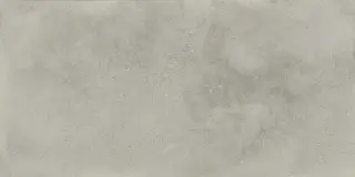 Монца Грэй 60x120
