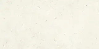 Bera White Natural 60x120