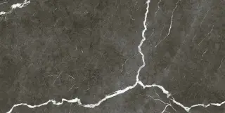 Микеланджело Дарк 60x120