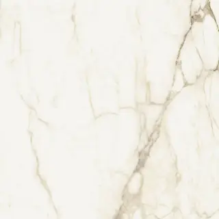 Микеланджело Ворм 60x60