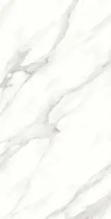 Calacatta Vero Satin 60x120