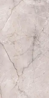 Marble Dragon Grey Silk 60x120