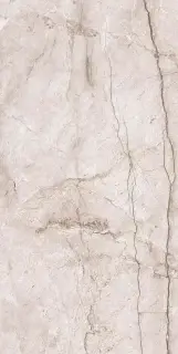 New Tone Pol. 60x120
