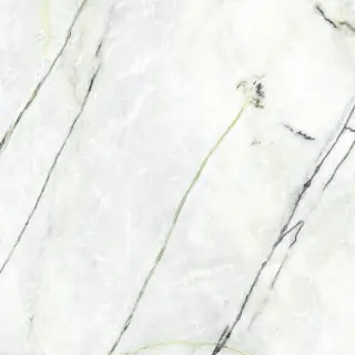 CALACATTA GREEN POL.PV6 120X120(A)