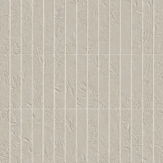 TRUE COLOR WIND FOSSIL TRATTI MOSAICO