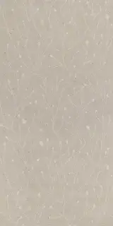EARTHTECH DECORO FRONDS_B4 DESERT_GROUND COMFORT 6MM 60X120 R
