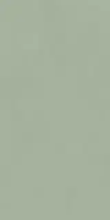 POLICROMA LICHENE MAT 6MM 60x120 RET