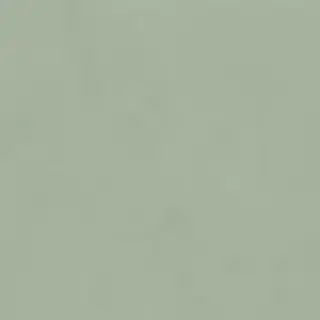 POLICROMA LICHENE MAT 6MM 120X120 RET