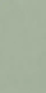 POLICROMA LICHENE MAT 6MM 120X240 RET