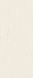 Marvel Bianco Dolomite 120x278 Matt