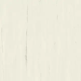 Marvel Bianco Dolomite 120x120