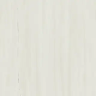 Marvel Bianco Dolomite 60x60 Lappato