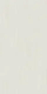 Marvel Bianco Dolomite 120x240 Lappato