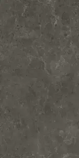 Nyra Charcoal 60x120