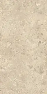 Nyra Ambrosia 60x120