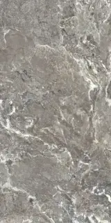 ONYX&MORE SILVER PORPHYRYSTR20MM60X120R