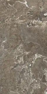 ONYX&MORE GOLDEN PORPHYRY STR6MM 120X240R